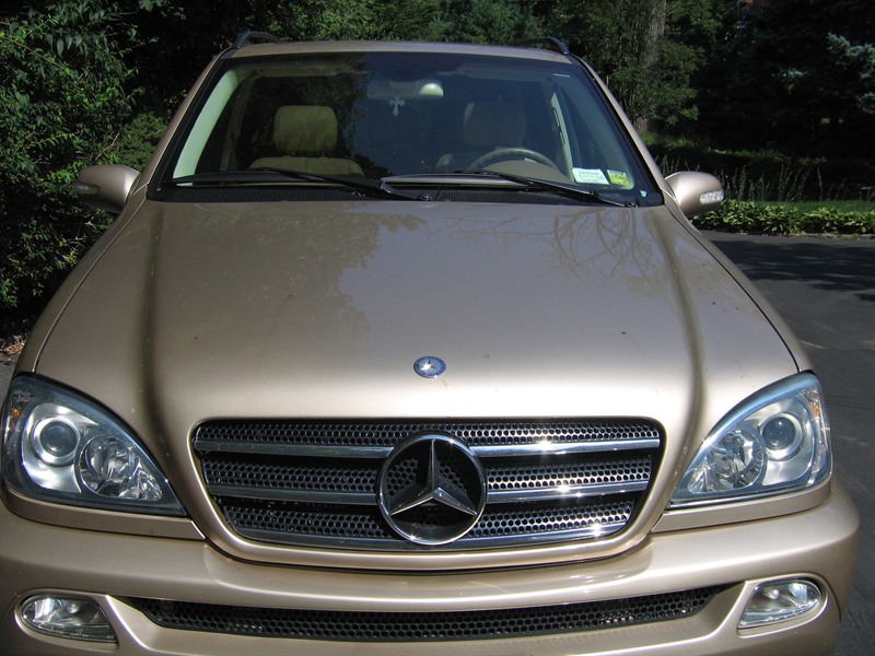 Used mercedes ml for sale by owner #2